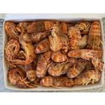 Медведка, варено - мороженная, размер средний, 850 гр / Mole cricket, boiled and frozen, medium size, 850g