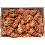 Медведка, варено - мороженная, размер мелкий, коробка 750 г/ Mole cricket, boiled and frozen, small size, box 750 g