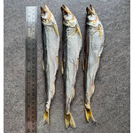 Корюшка зубатка с икрой ПРЕМИУМ, сушено - вяленая / Smelt catfish with caviar PREMIUM, medium well dried
