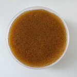 Икра щуки, дальневосточная, 500 г / Pike caviar, Far Eastern, 500 g